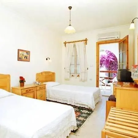 Toloman Bitez Park Hotel 3*