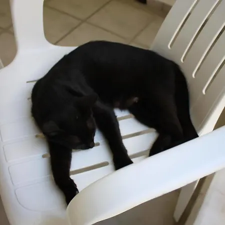 Toloman Bitez Park Отель Бодрум