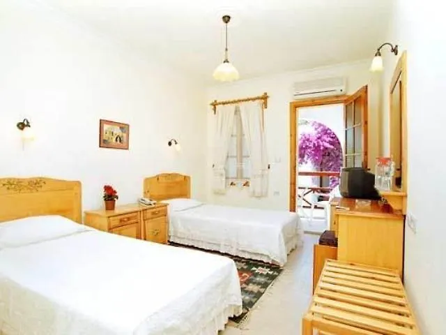 Toloman Bitez Park Hotel 3*