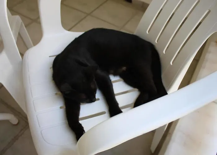 Toloman Bitez Park Hotel Bodrum